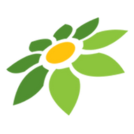 OYO888